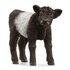 Schleich Galloway kalf