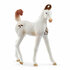 Schleich 14896 Marwari veulen